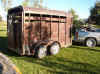 AnimalsArrive.jpg (64190 bytes)