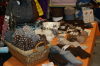 Alpaca Product Display Ilderton Fair 2011